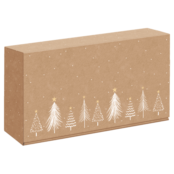 pudelko_prezentowe_Modern_Christmas_Natura_2x0,75